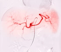 Clinical Support Staff