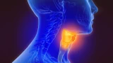 Pre-Operative Tumor Embolization: Head & Neck