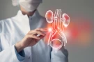 Renal Artery Stenosis Evaluation and Management