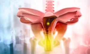 Clinical Support Staff