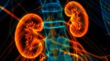 Nephrology & Dialysis Care